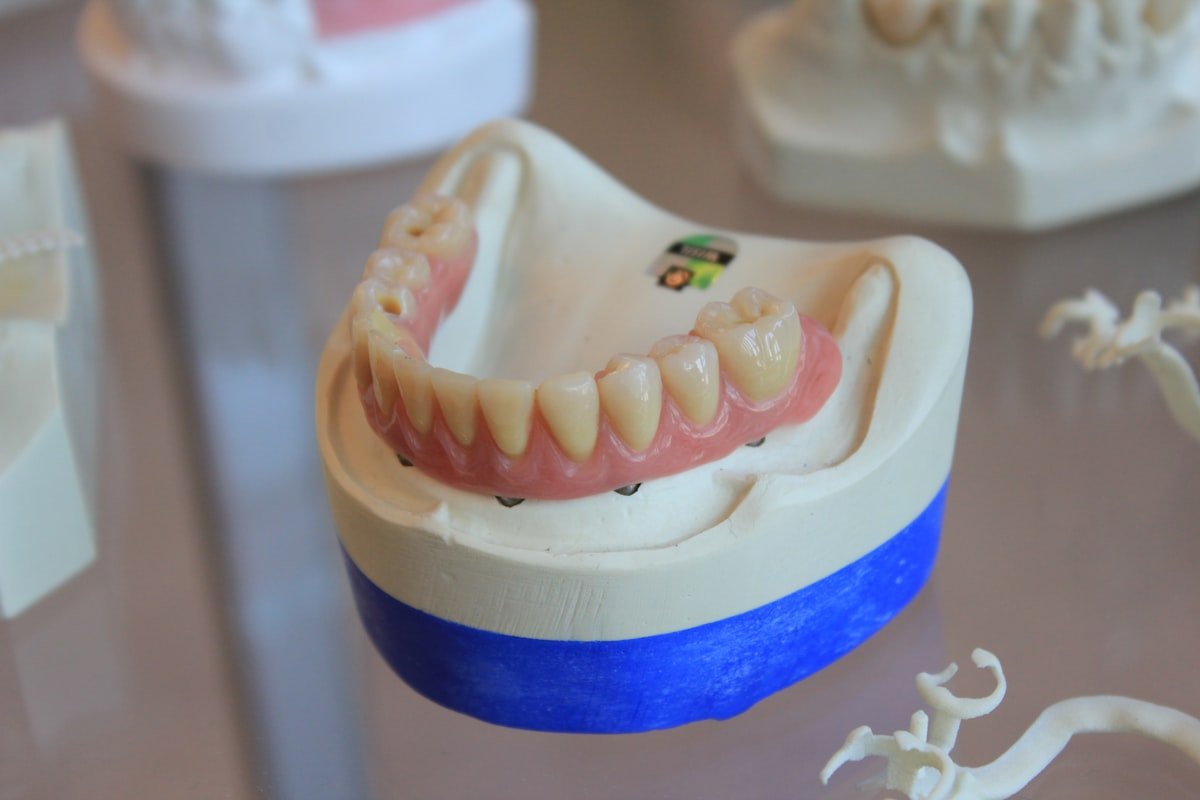 Complete Dentures in Keller, TX — anatomical illustration